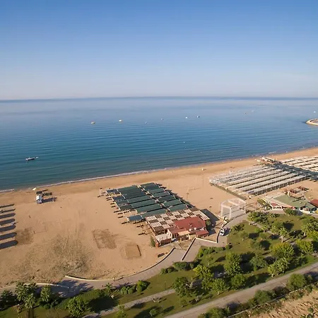 Crown Palace Ultra 5* シダ