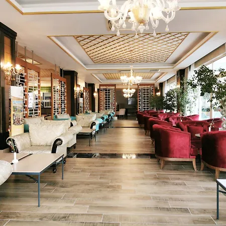 Crown Palace Ultra シダ