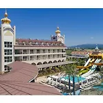 Crown Palace Ultra 5* シダ
